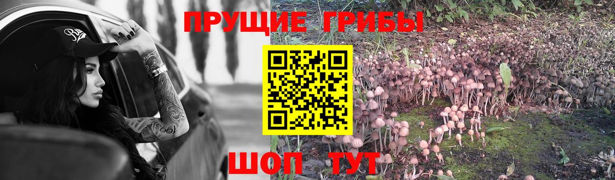 Галлюциногенные грибы Psilocybe  наркотики  Глазов  Вход с VPN  Галлюциногенные грибы MAGIC MUSHROOMS 